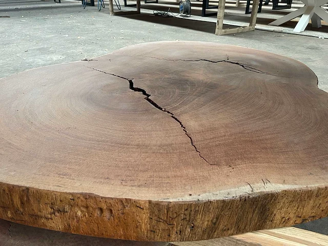 Guyana teak houten schijf 1100mm - afbeelding 1 van  3