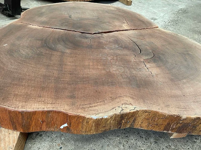 Guyana teak houten schijf 1200mm - afbeelding 1 van  3