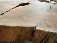 Guyana teak houten schijf 1200mm - afbeelding 3 van  3