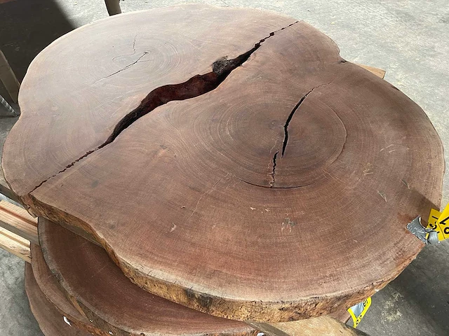 Guyana teak houten schijf 1300mm - afbeelding 2 van  3