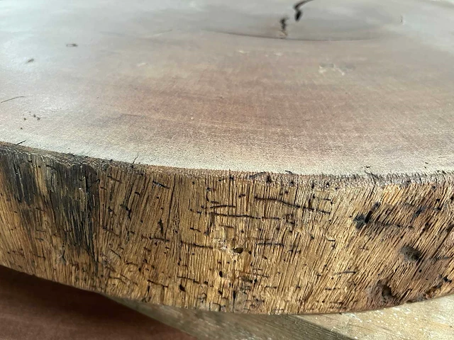 Guyana teak houten schijf 1300mm - afbeelding 3 van  3