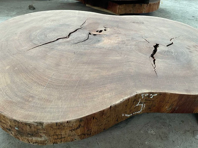 Guyana teak houten schijf 1300mm - afbeelding 1 van  3