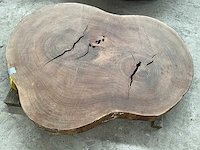 Guyana teak houten schijf 1300mm - afbeelding 2 van  3