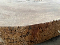 Guyana teak houten schijf 1300mm - afbeelding 3 van  3