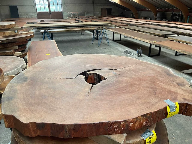 Guyana teak houten schijf 1500mm - afbeelding 1 van  3