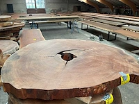 Guyana teak houten schijf 1500mm - afbeelding 1 van  3
