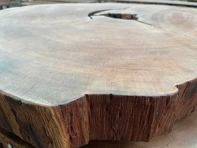 Guyana teak houten schijf 1500mm - afbeelding 2 van  3