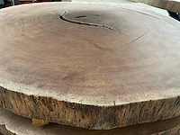 Guyana teak houten schijf 1500mm - afbeelding 1 van  3