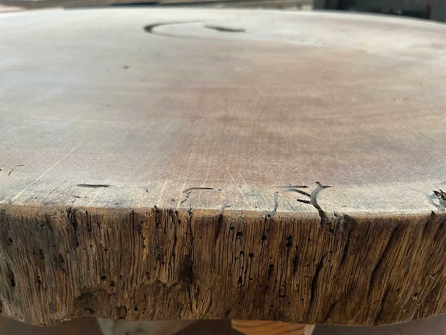 Guyana teak houten schijf 1600mm - afbeelding 3 van  3