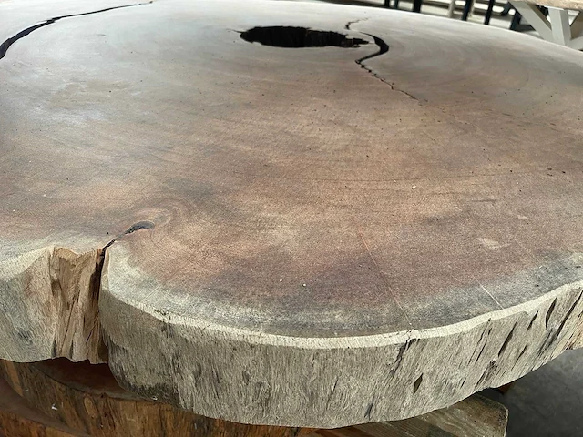 Guyana teak houten schijf 1700mm - afbeelding 2 van  3