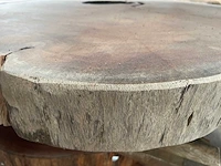 Guyana teak houten schijf 1700mm - afbeelding 3 van  3