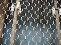 Haith group - afbeelding 4 van  47