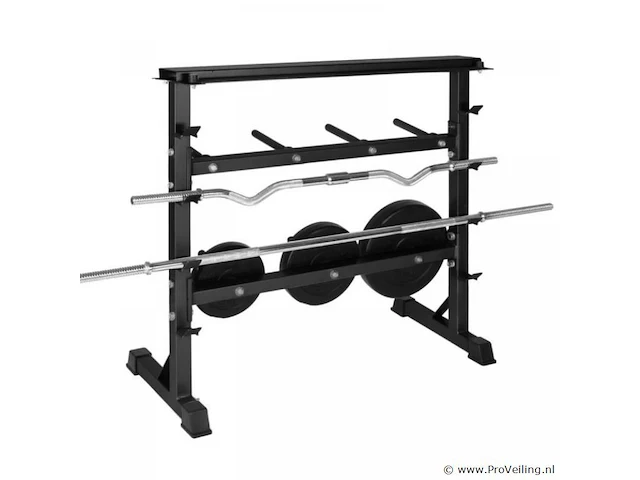 Halter-, en gewichtstandaard voor halterstang en schijven en dumbells max 300 kg - afbeelding 6 van  12