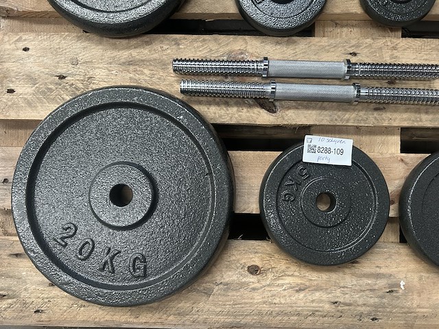 Halterset met 10 halterschijven gietijzer - afbeelding 2 van  8