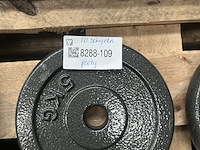 Halterset met 10 halterschijven gietijzer - afbeelding 7 van  8