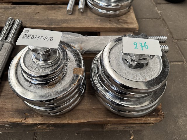 Halterset (totaal 10 halterschijven: 2x 5 kg, 2x 2,5 kg, 4x 2,25 kg, 2x 0,5 kg) - afbeelding 1 van  5