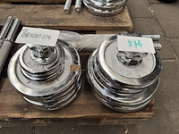 Halterset (totaal 10 halterschijven: 2x 5 kg, 2x 2,5 kg, 4x 2,25 kg, 2x 0,5 kg) - afbeelding 1 van  5