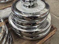 Halterset (totaal 10 halterschijven: 2x 5 kg, 2x 2,5 kg, 4x 2,25 kg, 2x 0,5 kg) - afbeelding 3 van  5