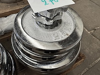 Halterset (totaal 10 halterschijven: 2x 5 kg, 2x 2,5 kg, 4x 2,25 kg, 2x 0,5 kg) - afbeelding 4 van  5