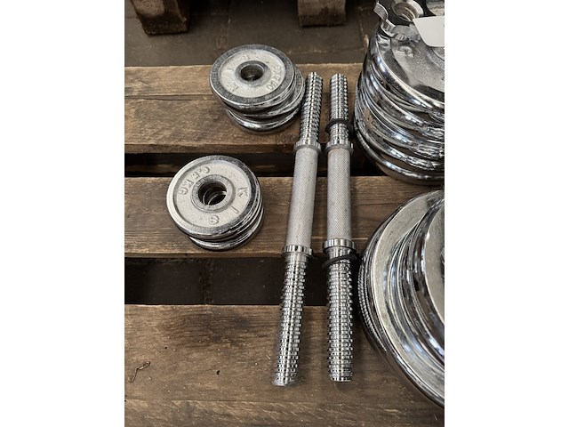 Halterset (totaal 15 halterschijven: 2x 5 kg, 2x 2,5 kg, 5x 2,25 kg, 3x 0,75 kg, 3x 0,5 kg) - afbeelding 3 van  10