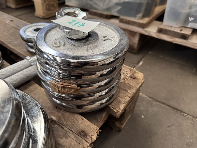 Halterset (totaal 15 halterschijven: 2x 5 kg, 2x 2,5 kg, 5x 2,25 kg, 3x 0,75 kg, 3x 0,5 kg) - afbeelding 7 van  10