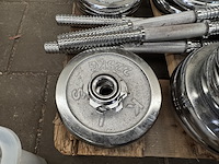 Halterset (totaal 15 halterschijven: 2x 5 kg, 2x 2,5 kg, 5x 2,25 kg, 3x 0,75 kg, 3x 0,5 kg) - afbeelding 10 van  10