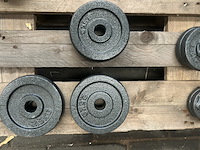 Haltersets met ca. 51 halterschijven gietijzer - afbeelding 6 van  9