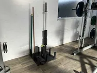 Halterstangrek