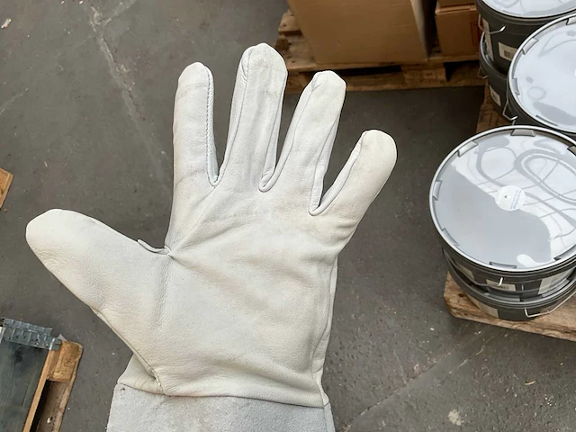 Handschoen (170x) - afbeelding 6 van  6