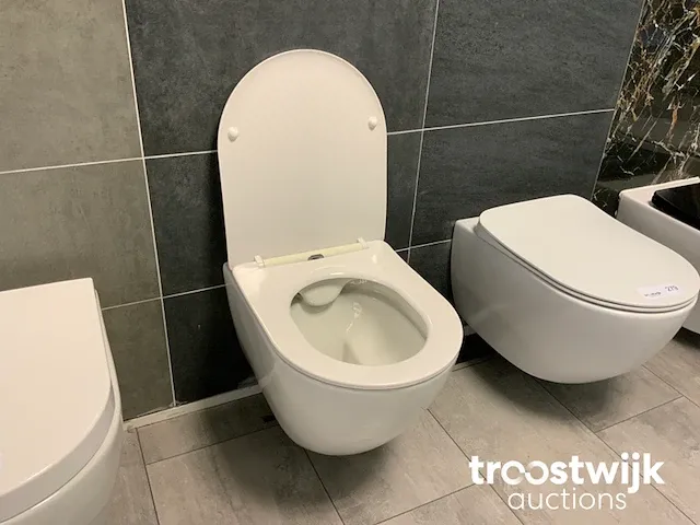 Hangend toilet - afbeelding 1 van  3