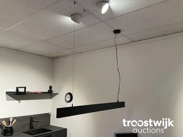 Hanglamp - afbeelding 1 van  4