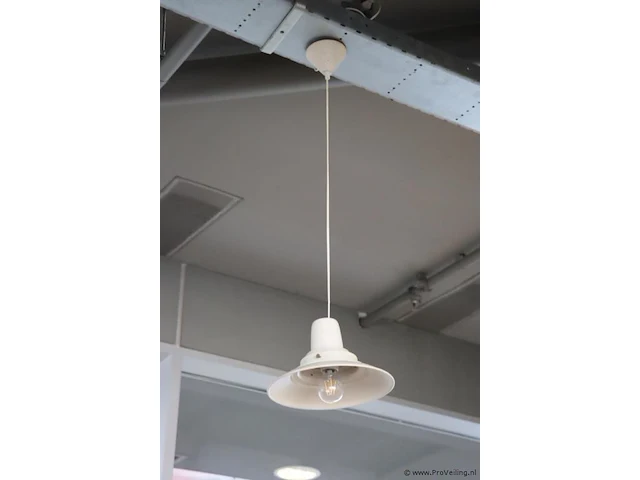 Hanglampen 30cm (d) - 9 stuks - afbeelding 1 van  3