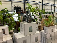 Hanglampen (7x) - afbeelding 1 van  4