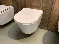 Hangtoilet met toiletbril