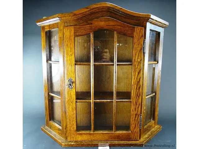 Hangvitrine - afbeelding 1 van  5