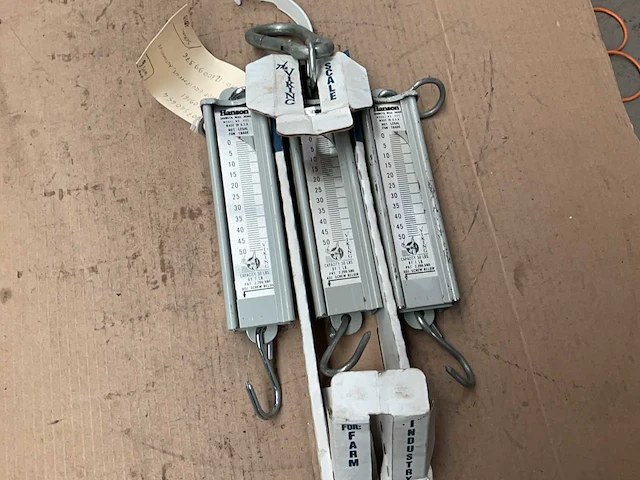 Hanson hanging spring scale (3x) - afbeelding 4 van  5
