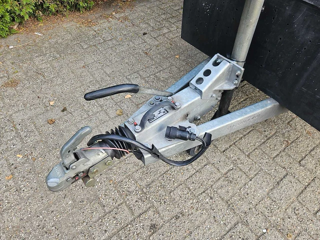 Hapert - 2019 - ta c44a - tandemasser - 764 cm - afbeelding 24 van  25