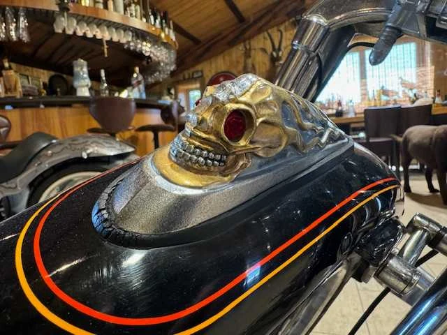 Harley davidson - chopper - fxsts springer - motorfiets - afbeelding 2 van  14