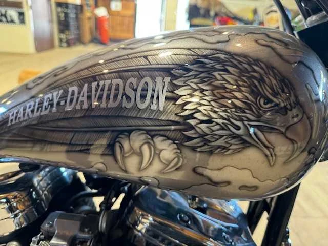 Harley davidson - motorfiets - afbeelding 8 van  16