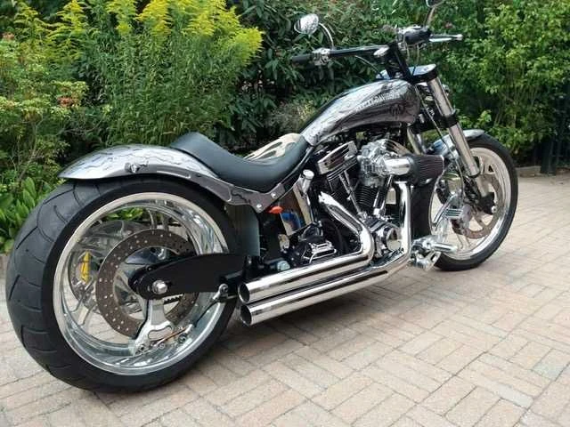 Harley davidson - motorfiets - afbeelding 10 van  16
