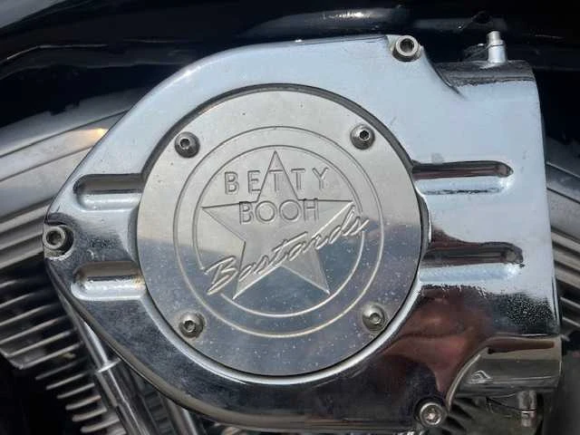 Harley davidson - softtail - motorfiets - afbeelding 18 van  23