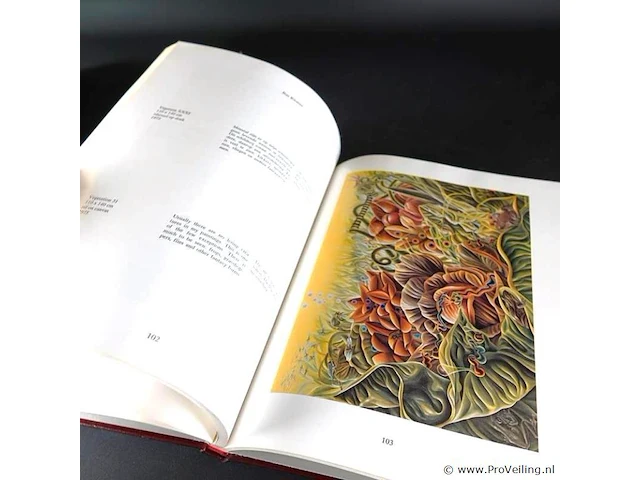 Hedendaagse nederlandse schilderkunst - afbeelding 4 van  5