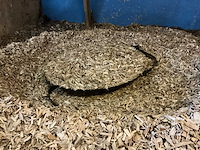 Heizomat hrk-ak 100 industriële verwarmingsinstallatie - afbeelding 24 van  38