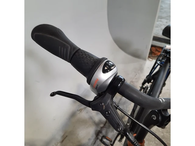 Herenfiets, batavus, chican - afbeelding 13 van  13