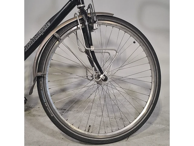Herenfiets, multicycle, sportive - afbeelding 2 van  15