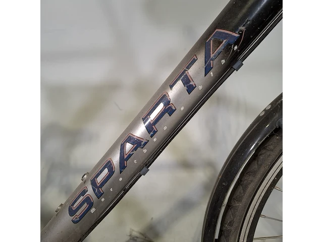 Herenfiets sparta, delphi - afbeelding 7 van  14
