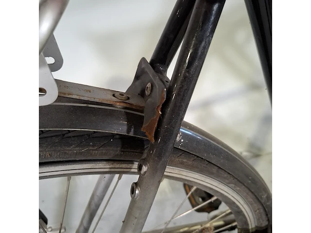 Herenfiets sparta, delphi - afbeelding 11 van  14