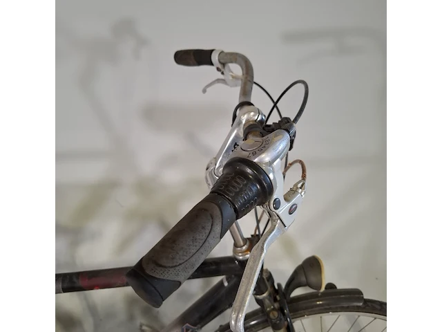 Herenfiets sparta, delphi - afbeelding 12 van  14