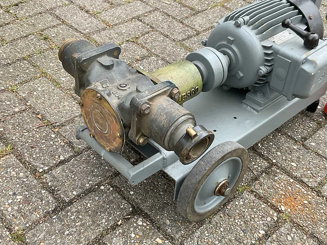 Herford lobbenpomp - afbeelding 3 van  5