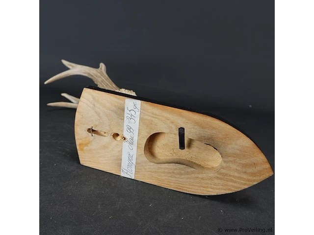 Hertengewei op houten schild - afbeelding 5 van  5